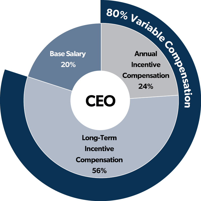 CEO Total Comp Pie Chart.jpg